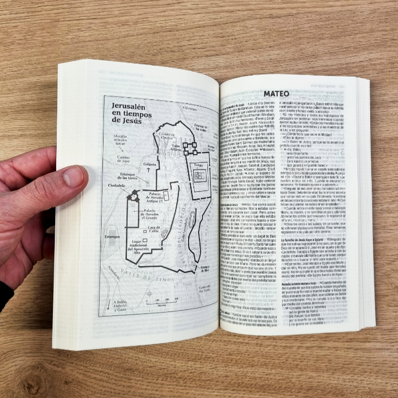 Biblia Traducción en Lenguaje Actual (TLA) Lila con Mapas - Pack de 5 unidades