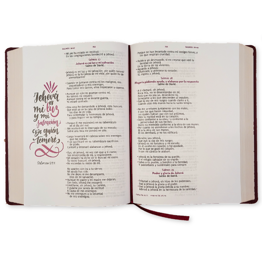 Biblia Reina Valera 1960 Letra Gigante Palabras de Jesús en Rojo Adoro Tapa Blanda