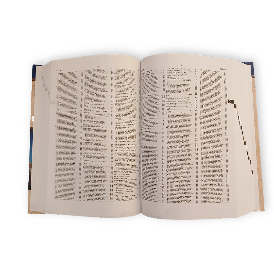 Concordancia De La Biblia Strong Concisa Td