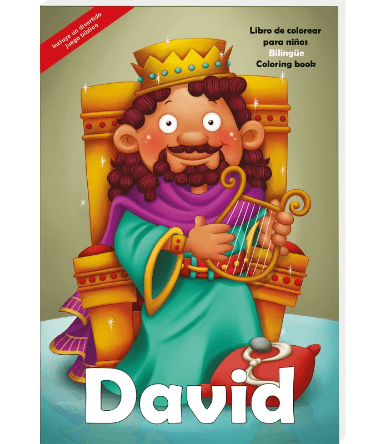 David - Libro Gigante