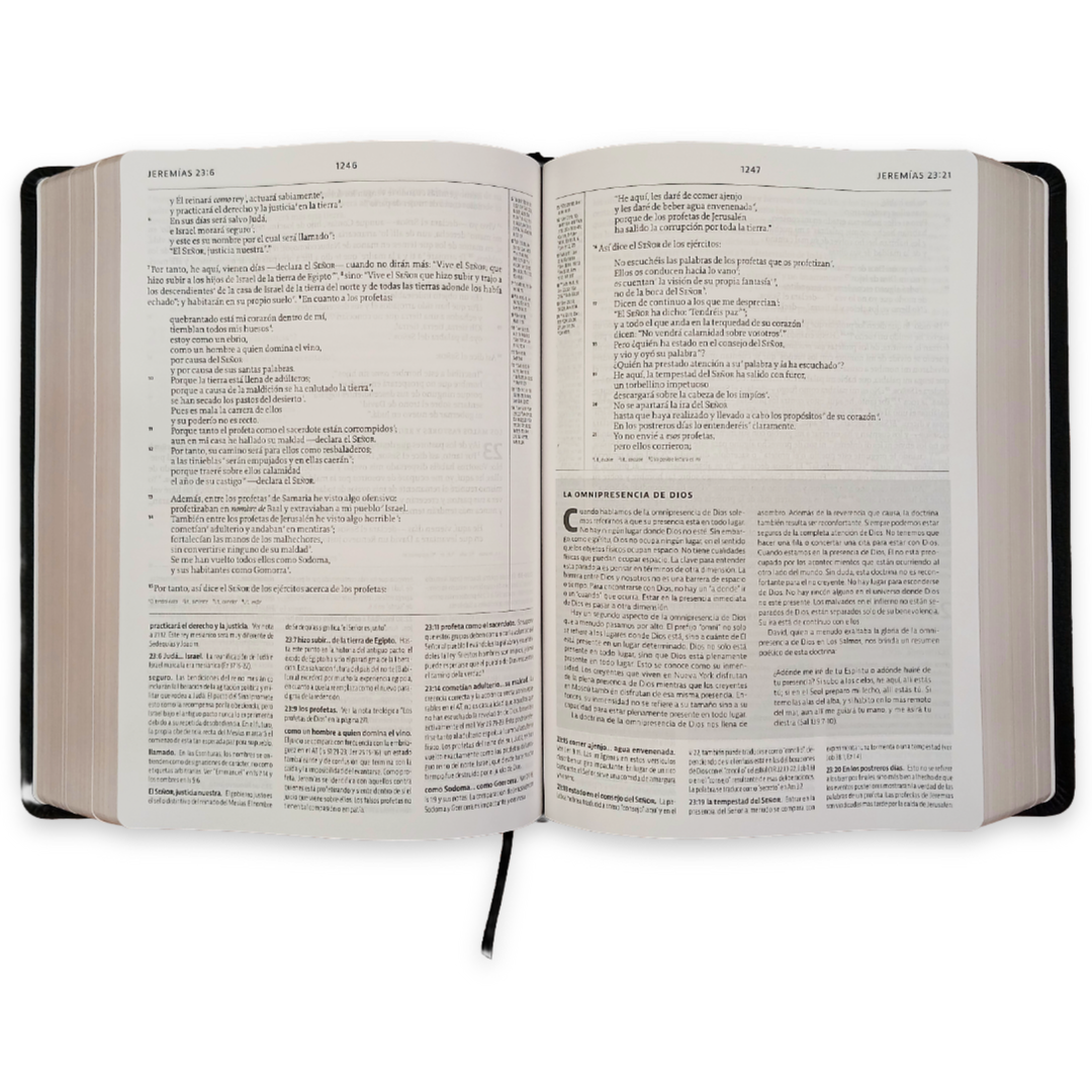 Biblia Estudio De La Reforma Piel Genuina Editor R. C. Sproul