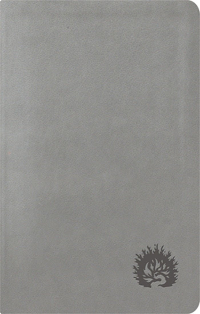 La Biblia De Estudio De La Reforma Nueva Biblia de las Americas  Edicion Condensada Simil Piel Gris