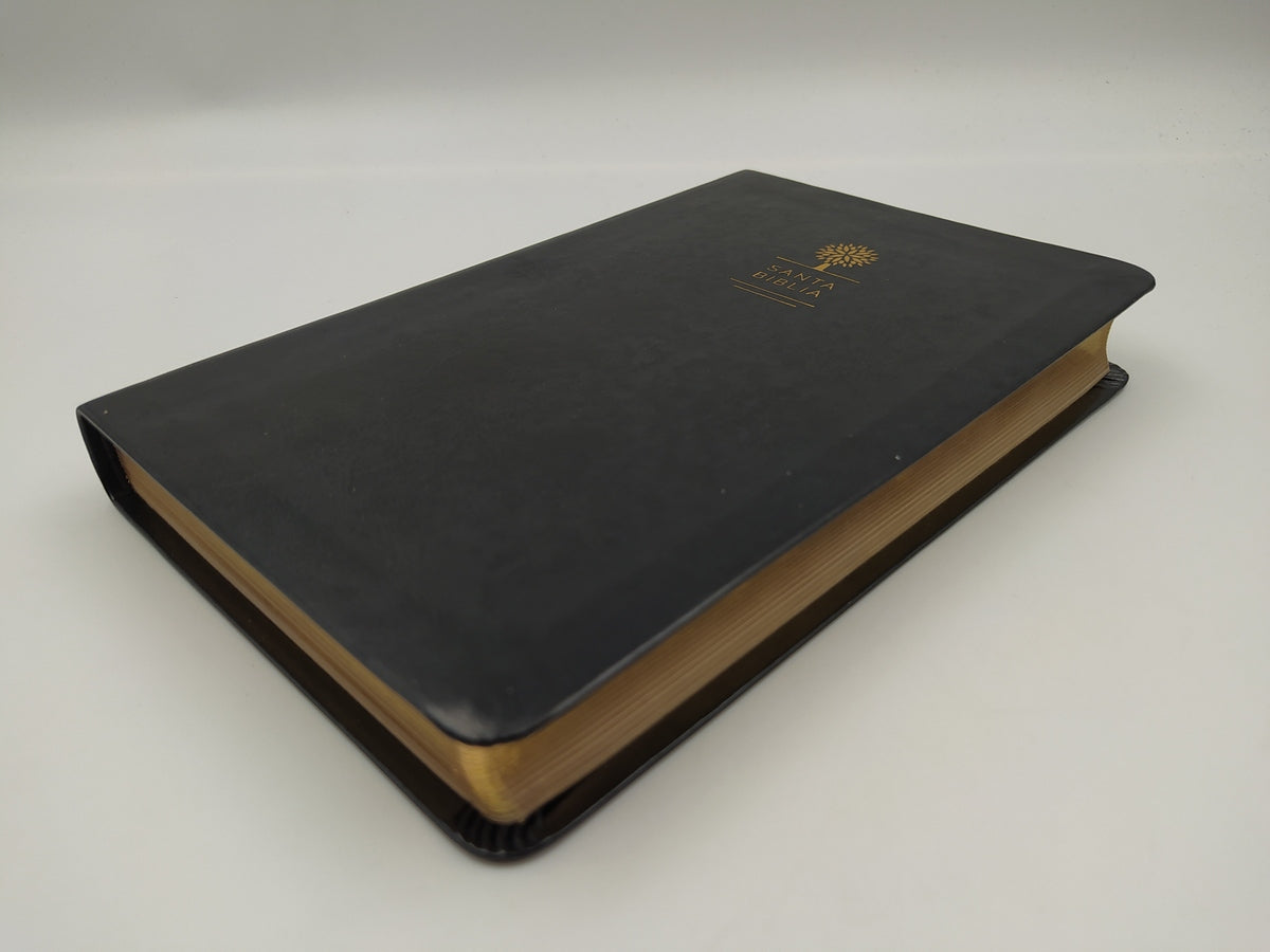 Biblia RVR 1960 Letra 10 Pts 14 X 21 Imit Piel Negra