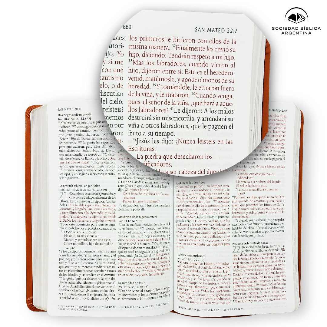 Biblia RVR 1960 Letra 10 Pts 14 X 21 Nombres De Dios Canela