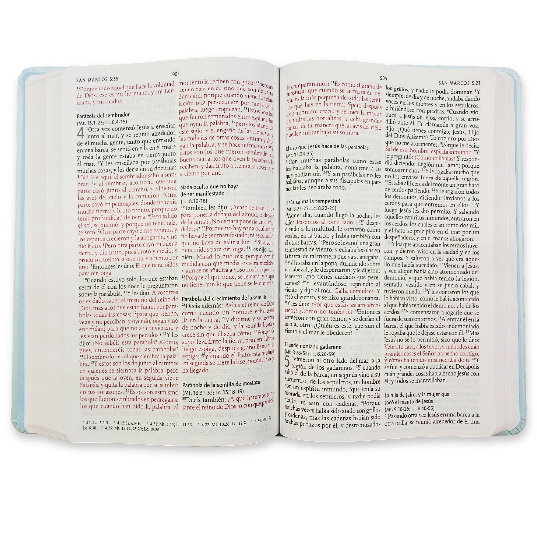 Biblia Reina Valera 1960 con Concordancia y Palabras de Jesús en Rojo – Tapa Dura Flores Celeste, Letra 10.5pt, 14x20 cm