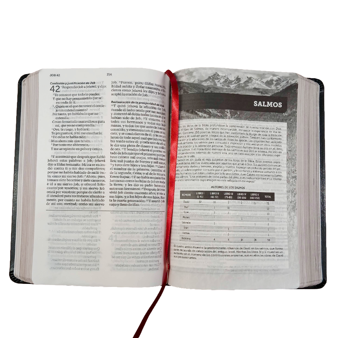 Biblia De Referencia Ilustrada - Reina Valera 1960 - Símil Piel - Color Negro