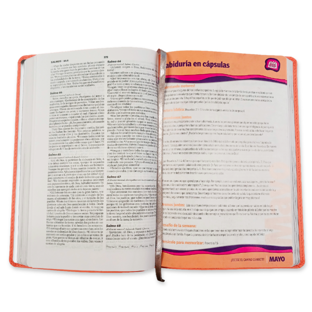 Biblia Devocional Familiar Nueva Biblia Viva Nbv, Edic Lujo