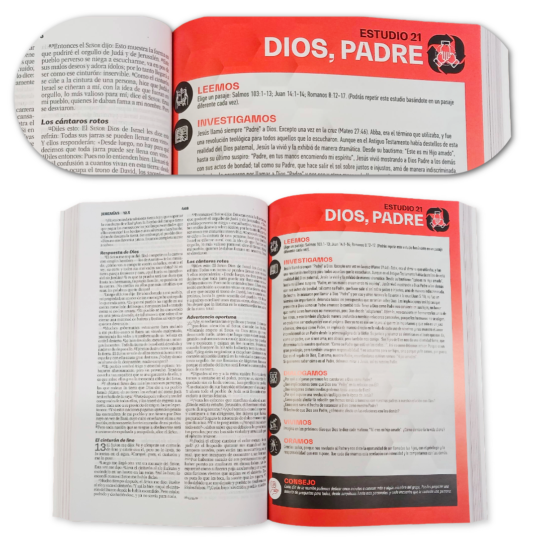 Biblia Para Grupos Pequeños Nueva Biblia Viva Tapa Rústica