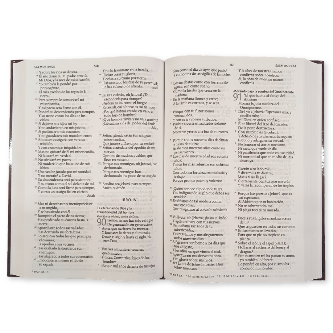 Biblia Reina Valera 1960 con Concordancia y Palabras de Jesús en Rojo – Tapa Dura Gris, Letra 12.5pt, 16x22 cm