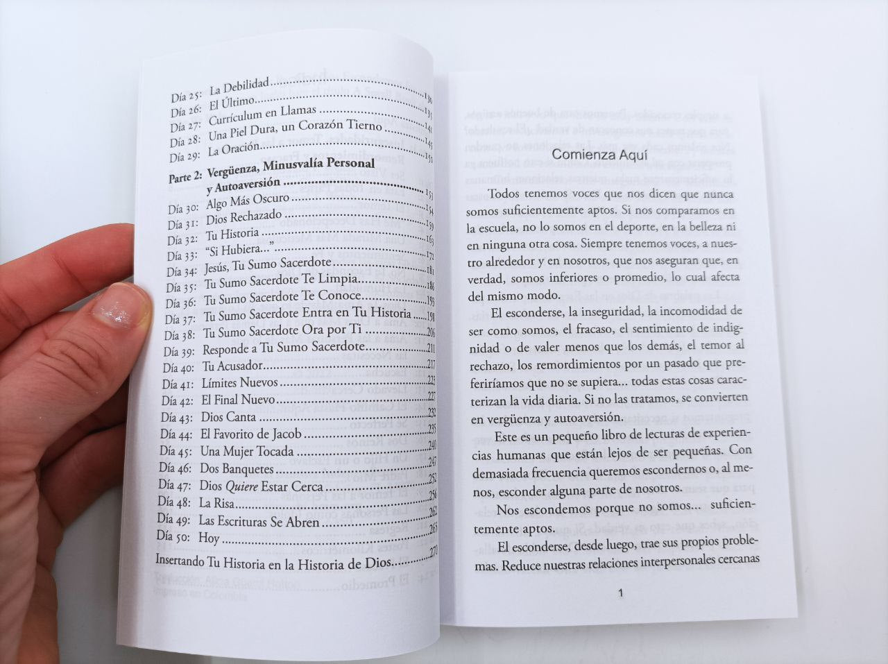 Un pequeño Libro sobre por qué nos escondemos