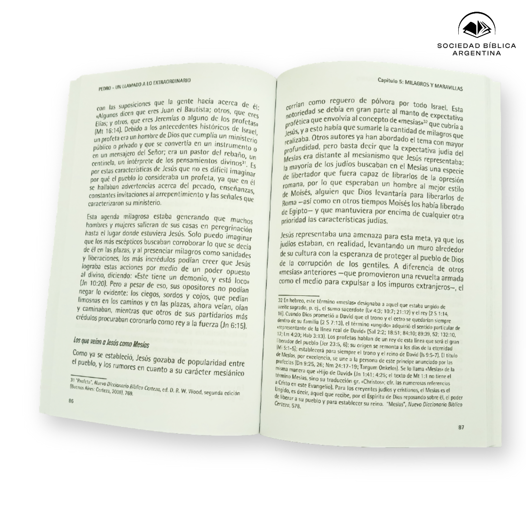 Pedro un llamado a lo extraordinario - Ricardo Flores