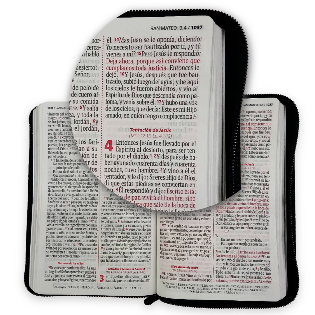 Biblia Reina Valera 1960 Letra Grande con cierre negro canto plateado "Vive"
