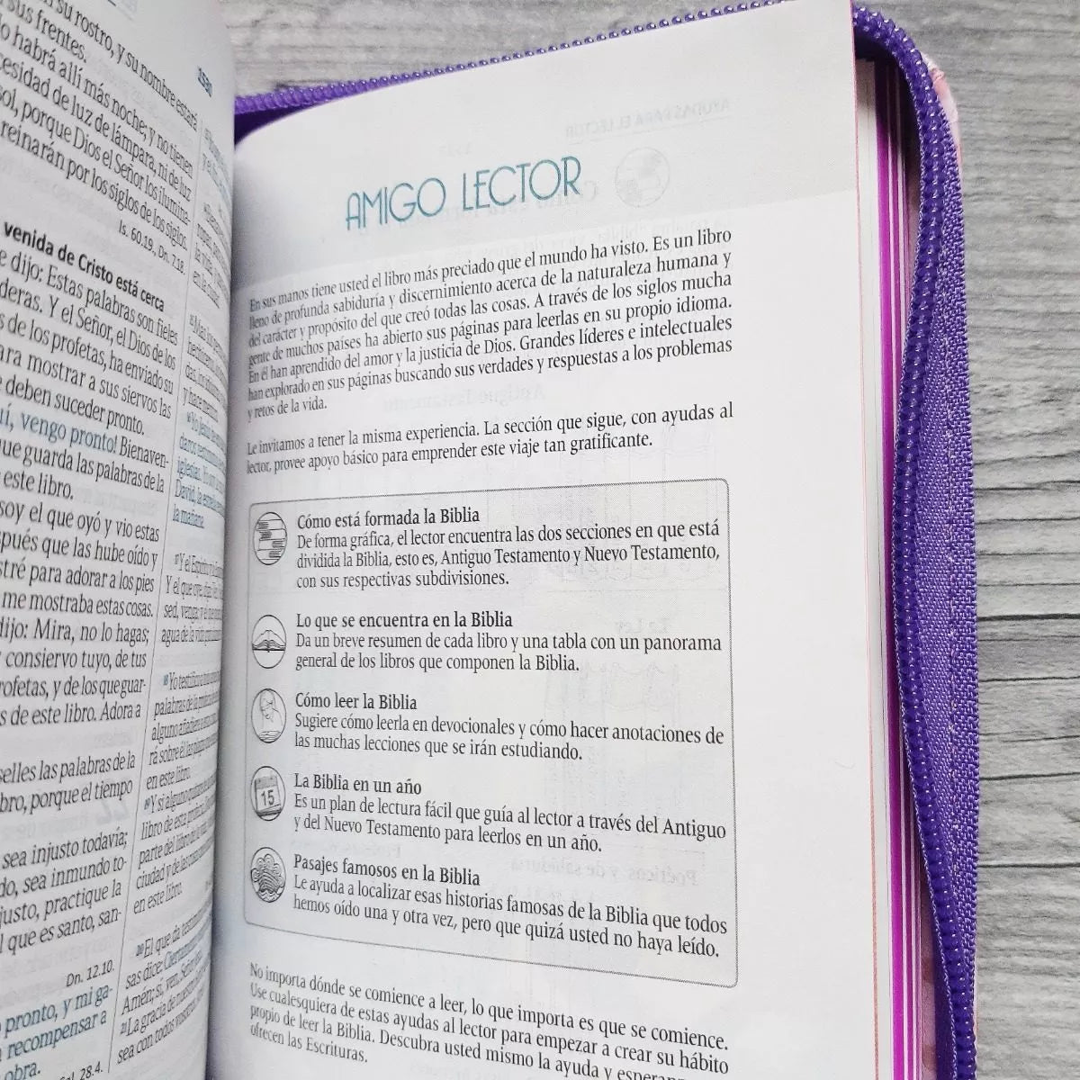 Biblia Reina Valera 1960 con cierre color rosa/fucsia "Amigos"