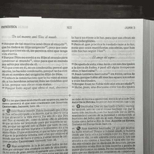 Biblia Reina Valera 1960 De Estudio Patrística Tapa Dura, Interior A Dos Colores, Con Índice, Palabras De Jesús En Rojo Idx
