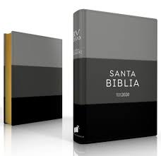 Biblia Reina Valera 2020 075 Letra Grande Concordancia Pjr Tricolor Negro