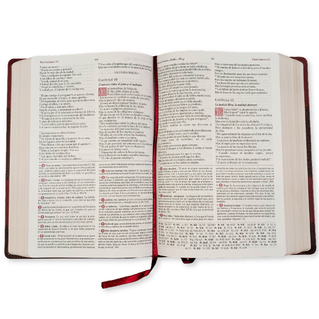 Biblia De Estudio Matthew Henry RVR2017 - Piel Genuina a dos colores