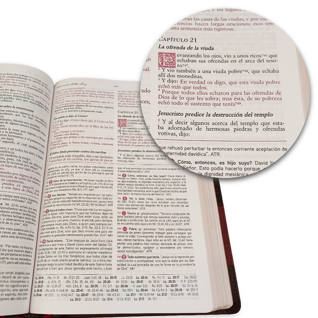Biblia De Estudio Matthew Henry RVR2017 - Piel Genuina a dos colores