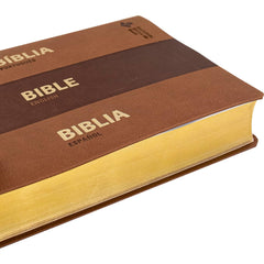 Biblia Reina Valera Contemporánea Trilingue Español - Inglés - Portugues