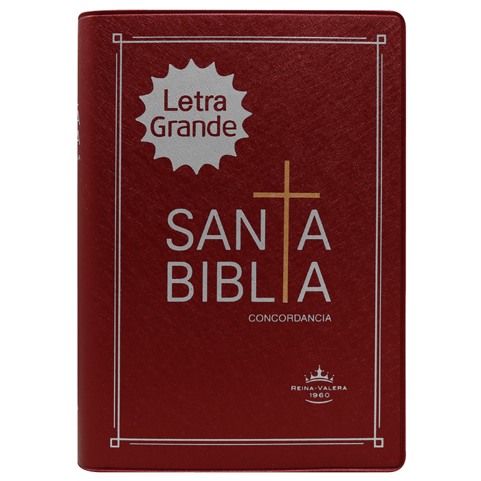 Biblia Reina Valera 1960 Letra Mediana  16x11 Tapa Vinilica Concord. Bordó