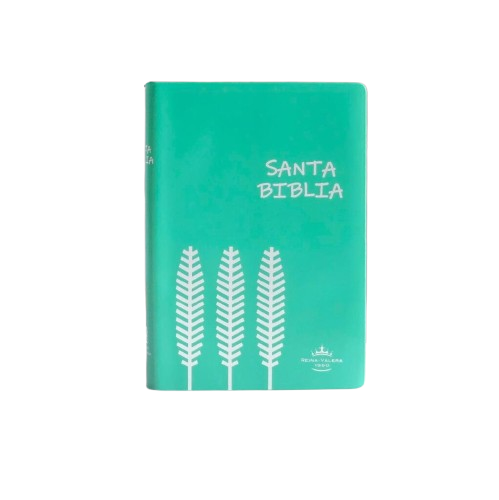 Biblia Reina Valera 1960 Letra Compacta 9 puntos 12 x 17 cm Tapa Vinilica Verde Económica