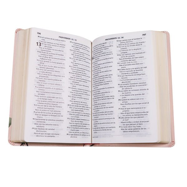Biblia Reina Valera 1960 Letra Mediana 21x14cm Tapa PU PE IG Colores