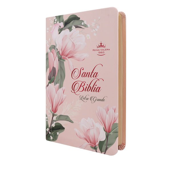Biblia Reina Valera 1960 Letra Mediana 21x14cm Tapa PU PE IG Colores