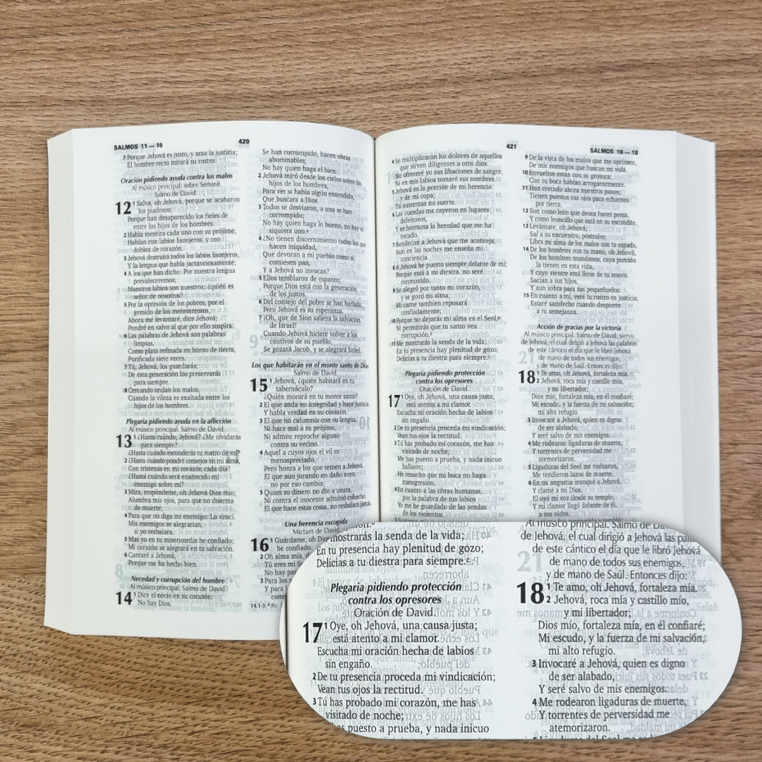 Biblia Reina Valera 1960 9 puntos 11x16 cm Tapa Rústica Económica