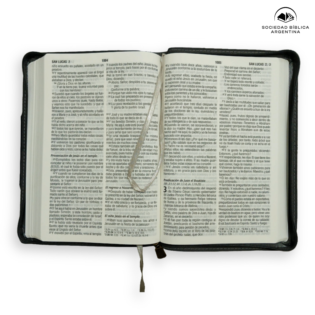Biblia Reina Valera 1960 Letra Estándar Con Concordancia Con Cierre Tapa PU Gris 14 x 21 cm