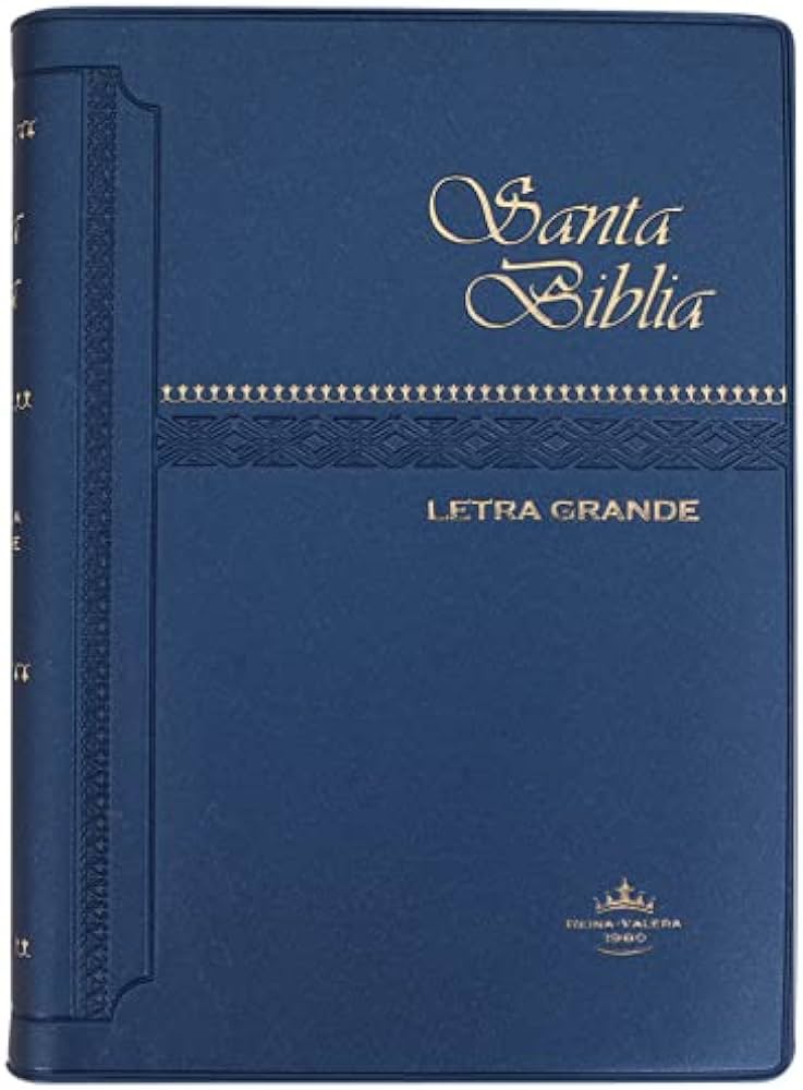 Biblia Reina Valera 1960 Letra Mediana 10 puntos Concordancia Vinílica Azul