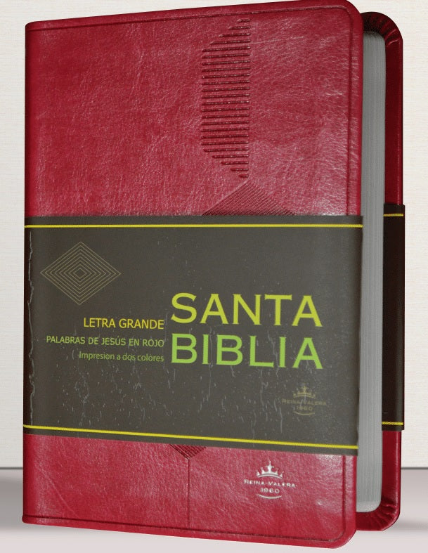 Biblia Reina Valera 1960 Letra Mayor Pjr Concordancia Bordó