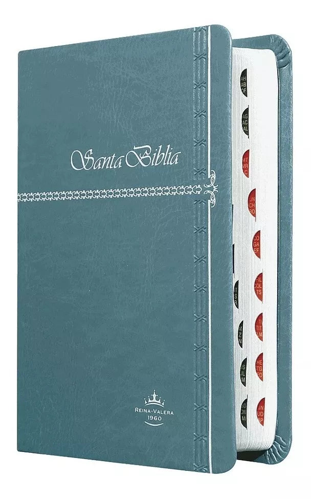 Biblia Reina Valera 1960 Letra Mediana con indice Tiara Gris