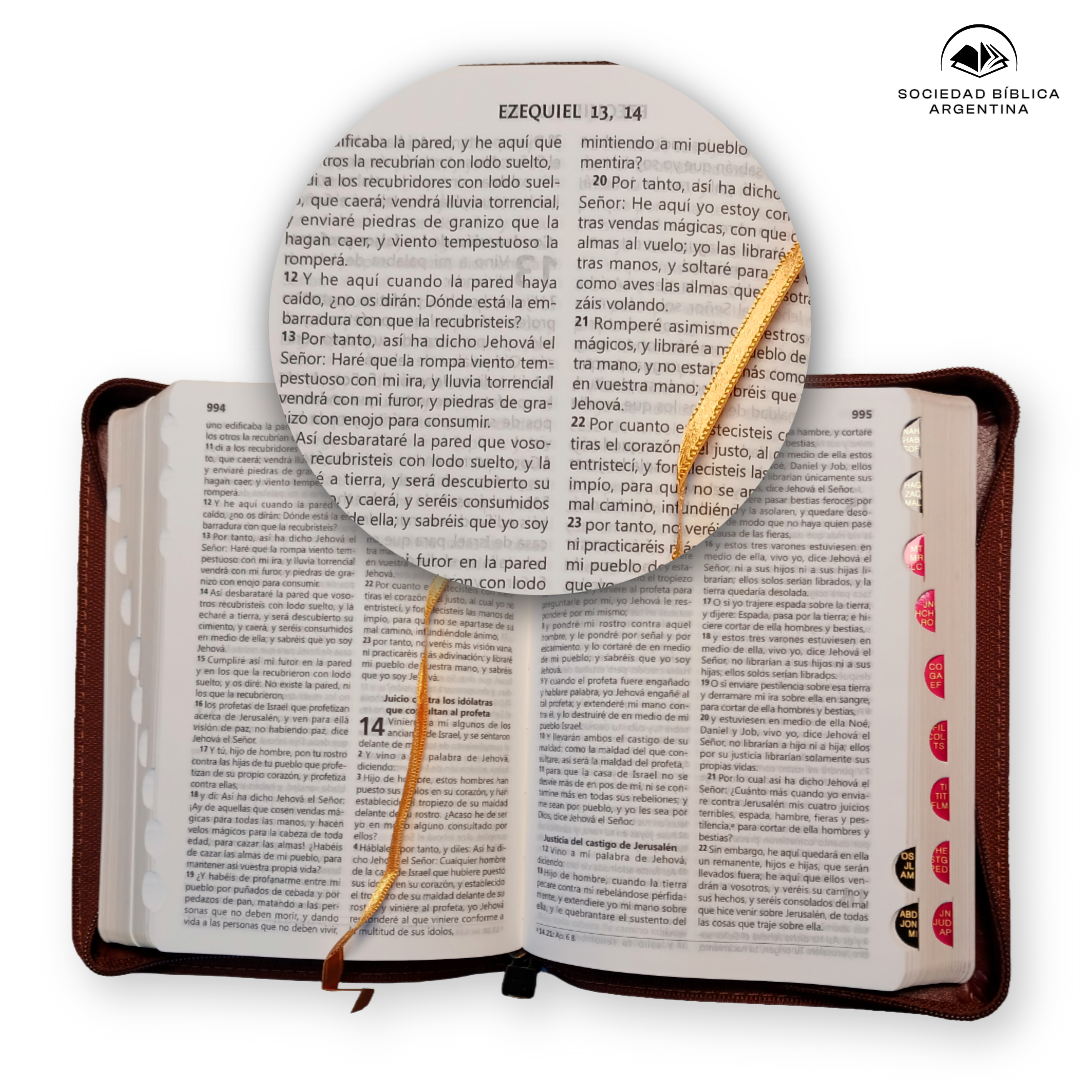 Biblia Reina Valera 1960 Letra Mediana Con Concordancia Con Cierre con Índice Color Café 11 x 16 cm