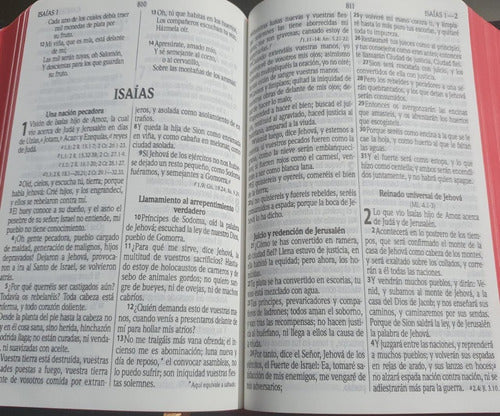 Biblia Letra Grande Negro Flexible Palabras de Jesús en rojo Reina Valera 1960