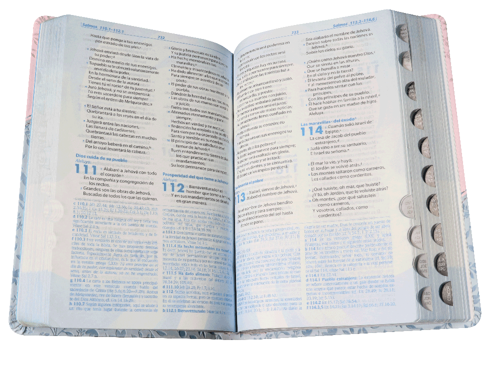 Biblia Estudio Llamados A La Reconciliación Piel Rosa 1960