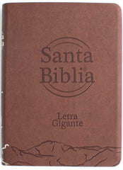 Biblia Letra Gigante Tapa Blanda Cafe Reina Valera 1960