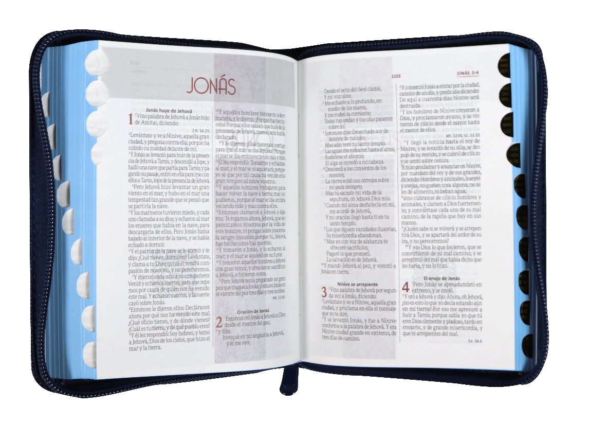 Biblia Reina Valera 1960 con cierre palabras de Jesús en rojo jean azul canto plateado