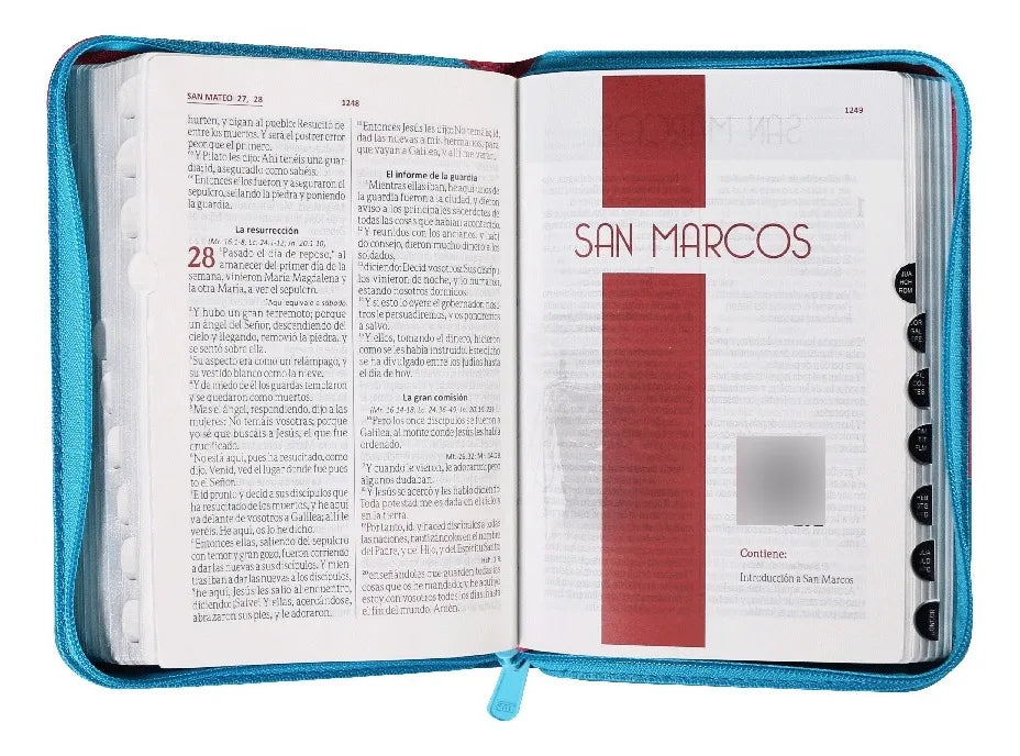 Biblia Reina Valera 1960 con cierre palabras de Jesús en rojo letra mediana fucsia/azul canto plateado