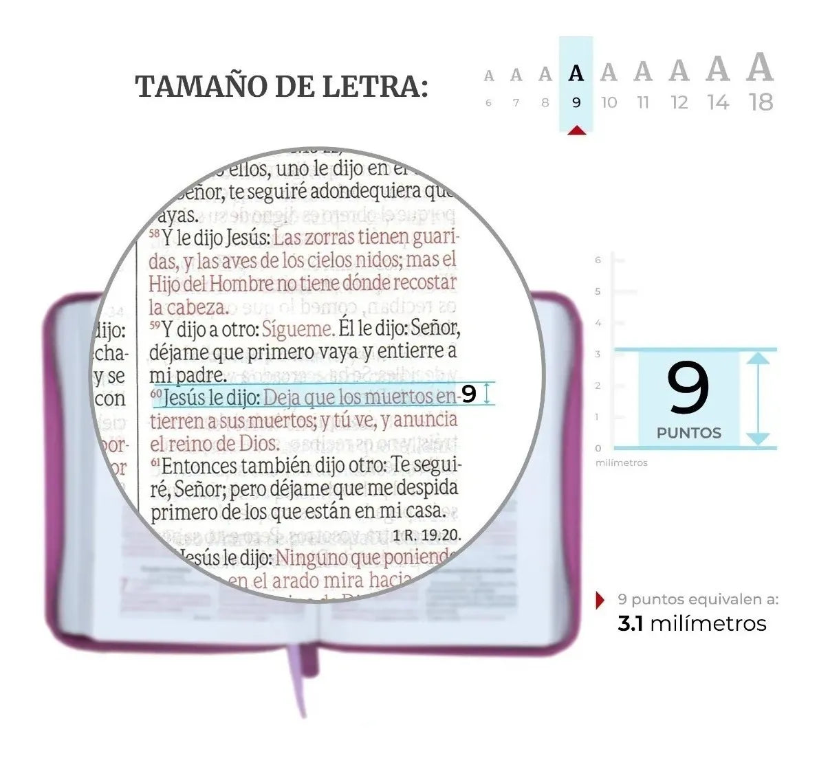 Biblia Reina Valera 1960 con cierre palabras de Jesús en rojo letra mediana fucsia canto plateado