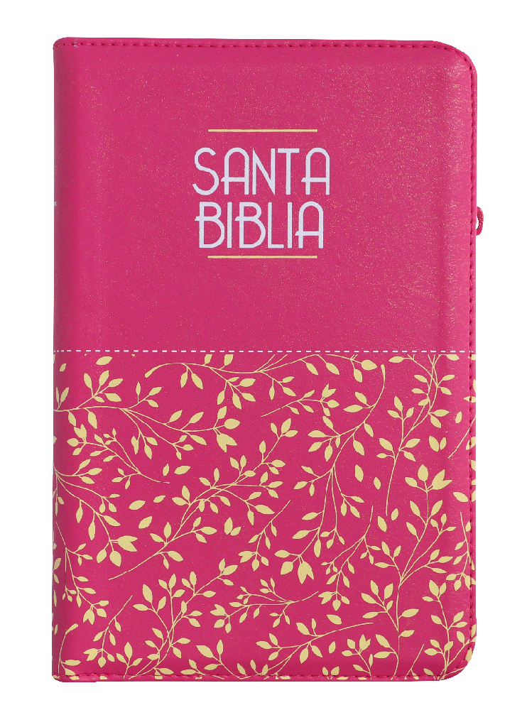 Biblia Reina Valera 1960 Letra Grande Cierre Rosa Ayudas Qr Letra 11 Puntos