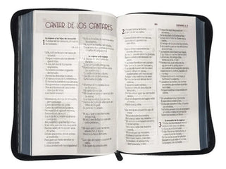 Biblia Reina Valera 1960 letra grande con cierre palabras de Jesús en rojo imitación piel gris canto gris