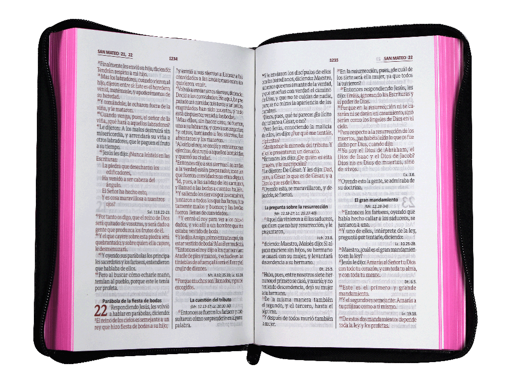 Biblia Reina Valera 1960 Letra Grande Cierre Negro Rosa Qr