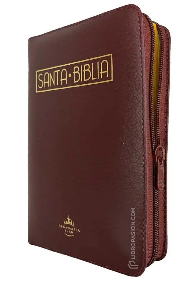 Biblia Reina Valera 1960 – 055 – Con Concordancia – Letra 10 pts – 15x21 cm – Palabras de Jesús en Rojo – Cierre – Color Violeta/Vino