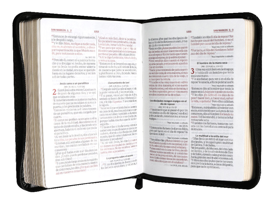 BIBLIAREINA VALERA 1960 055cLGZPJRa L 10p 13x19 CONCORDANCIA CIERRE PJR IMITACION PIEL NEGRA QR