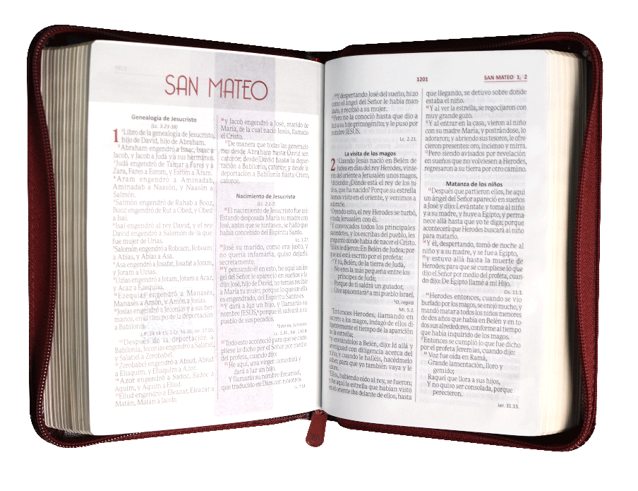 BIBLIAREINA VALERA 1960 055cLGZPJRa L 10p 13x19 CONCORDANCIA CIERRE PJR IMITACION PIEL BORDO QR