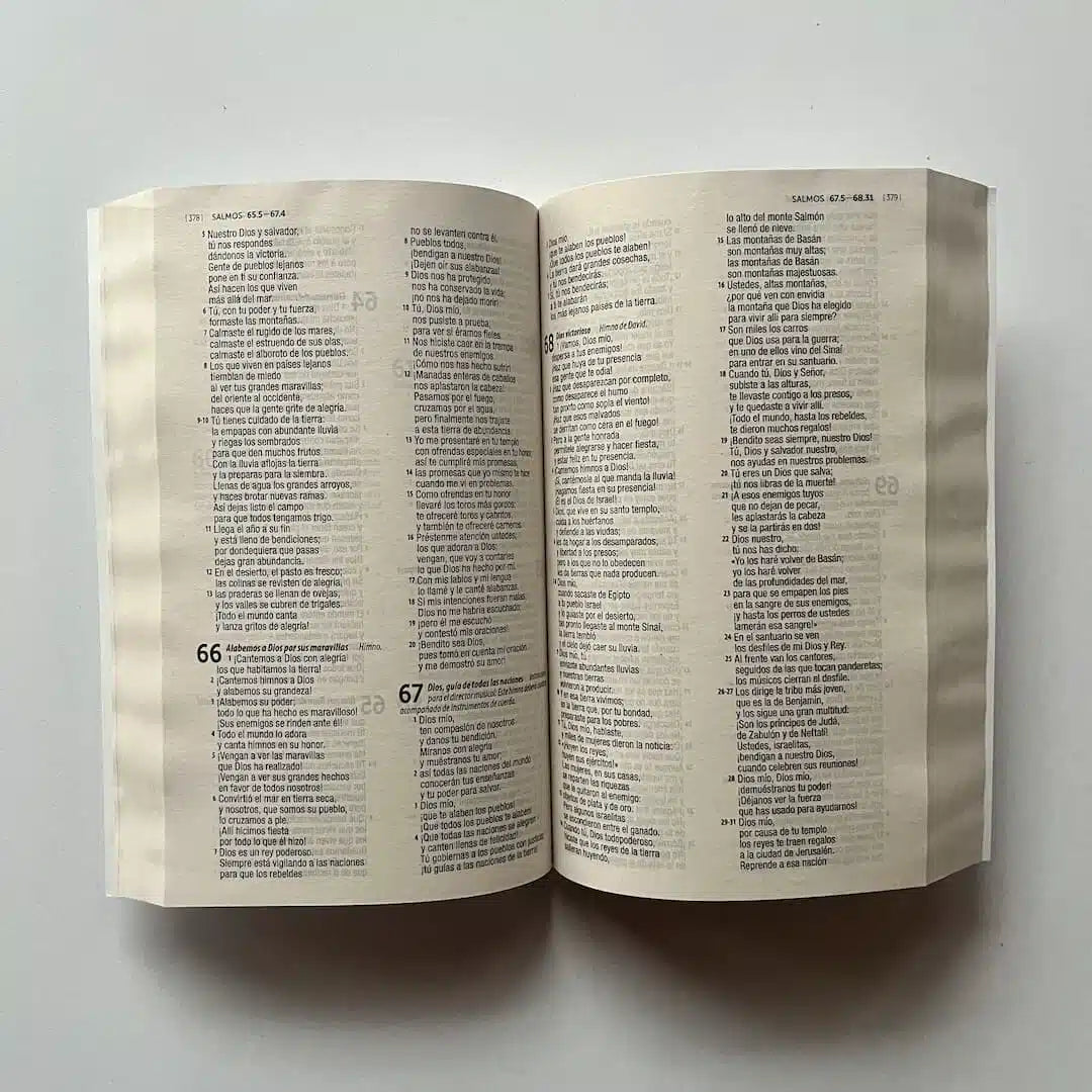 Biblia Traducción en Lenguaje Actual – 60UE – Letra 8 pts – 14x21 cm – Tapa Rustica – Blanco