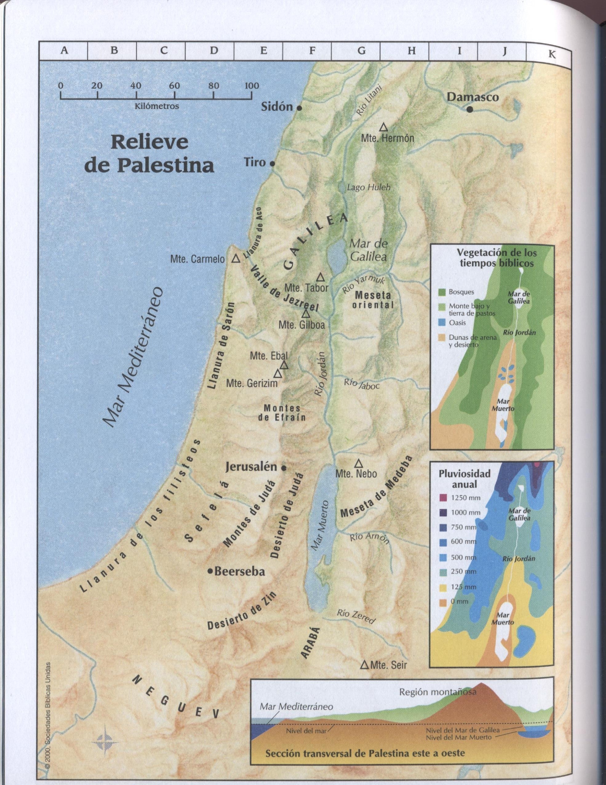 Biblia Reina Valera 1960 letra gigante con cierre imitación piel negra canto plateado
