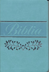 Biblia Reina Valera 1960 letra mediana verde menta canto pintado