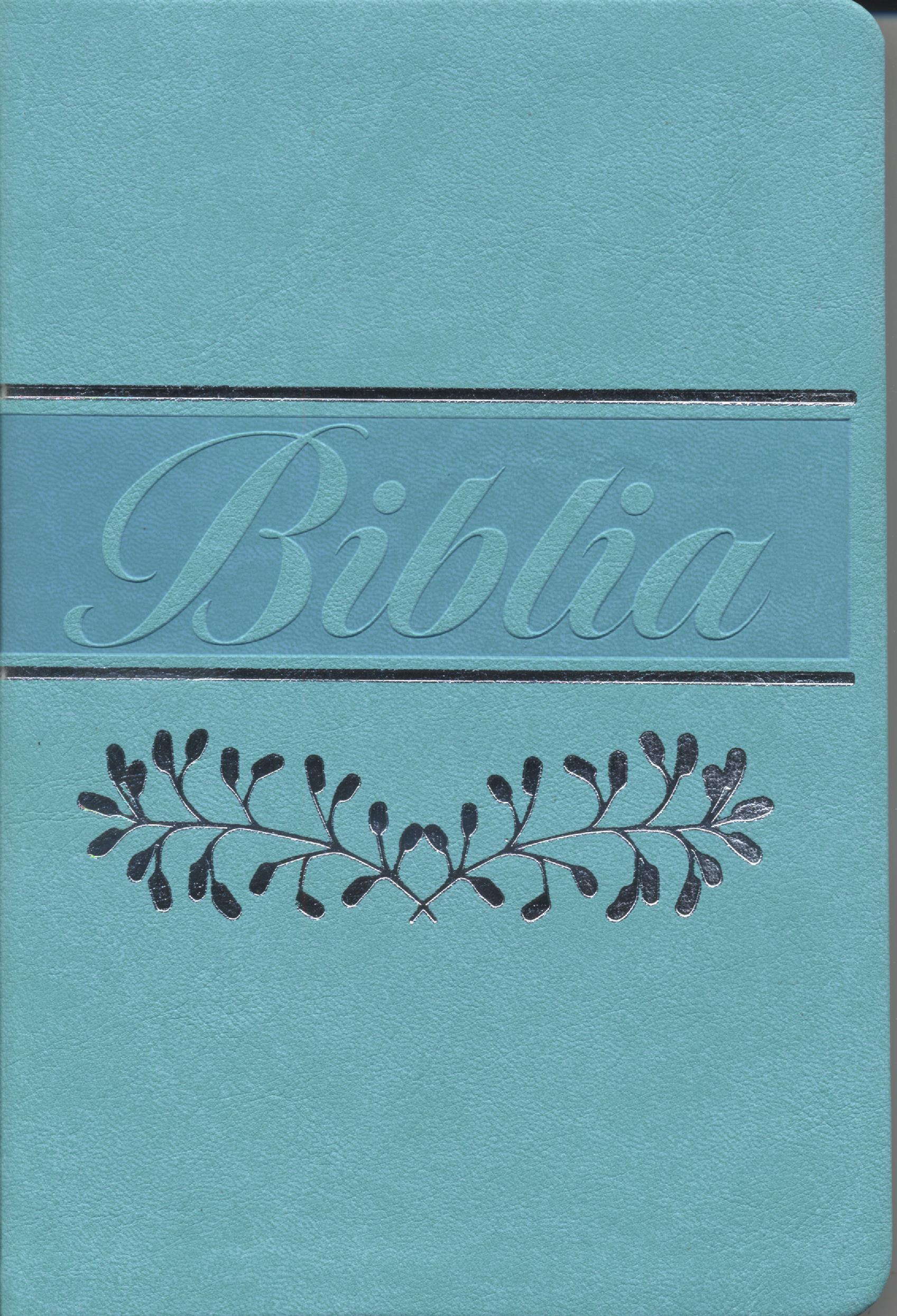 Biblia Reina Valera 1960 letra mediana verde menta canto pintado