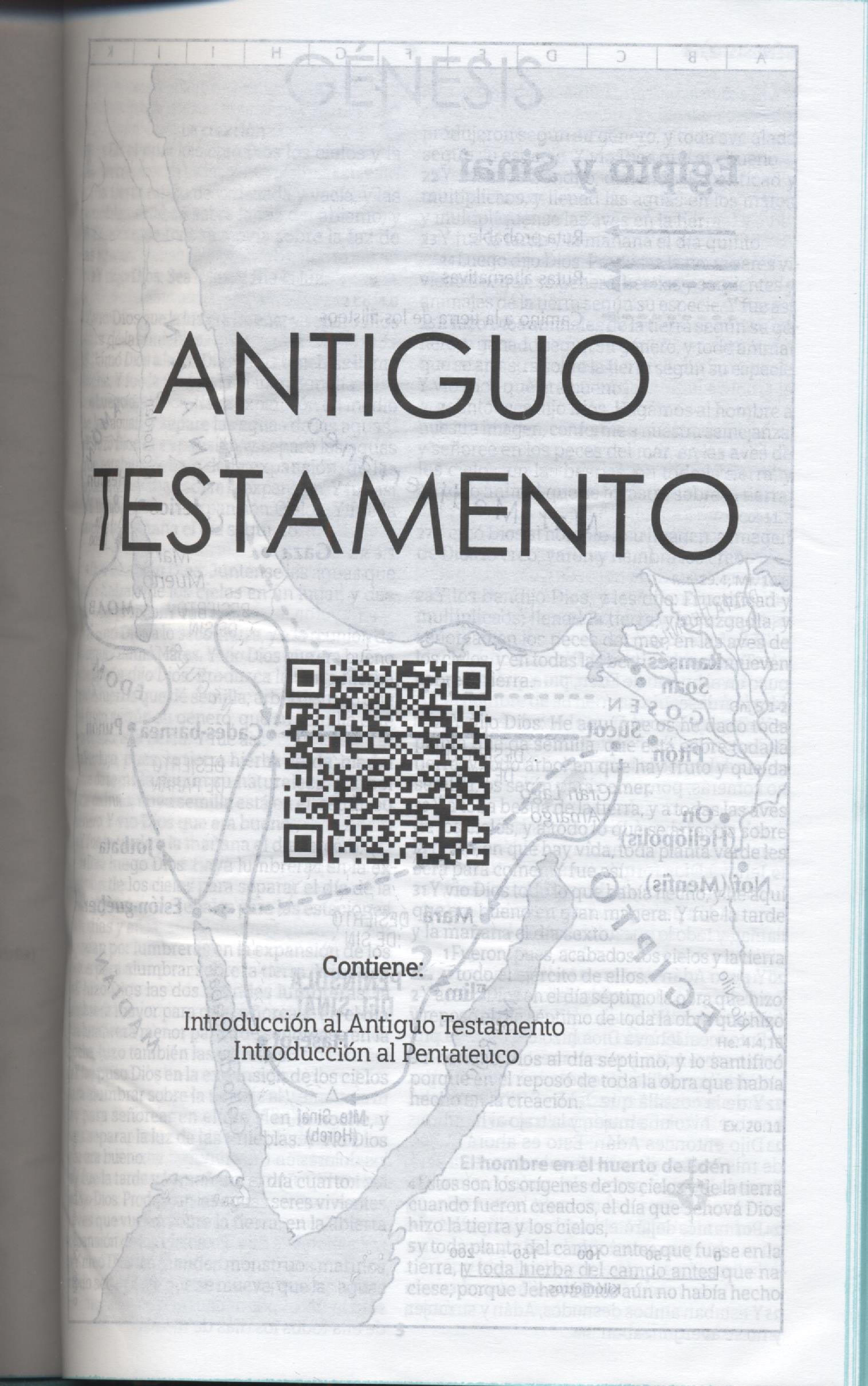 Biblia Reina Valera 1960 letra mediana verde menta canto pintado