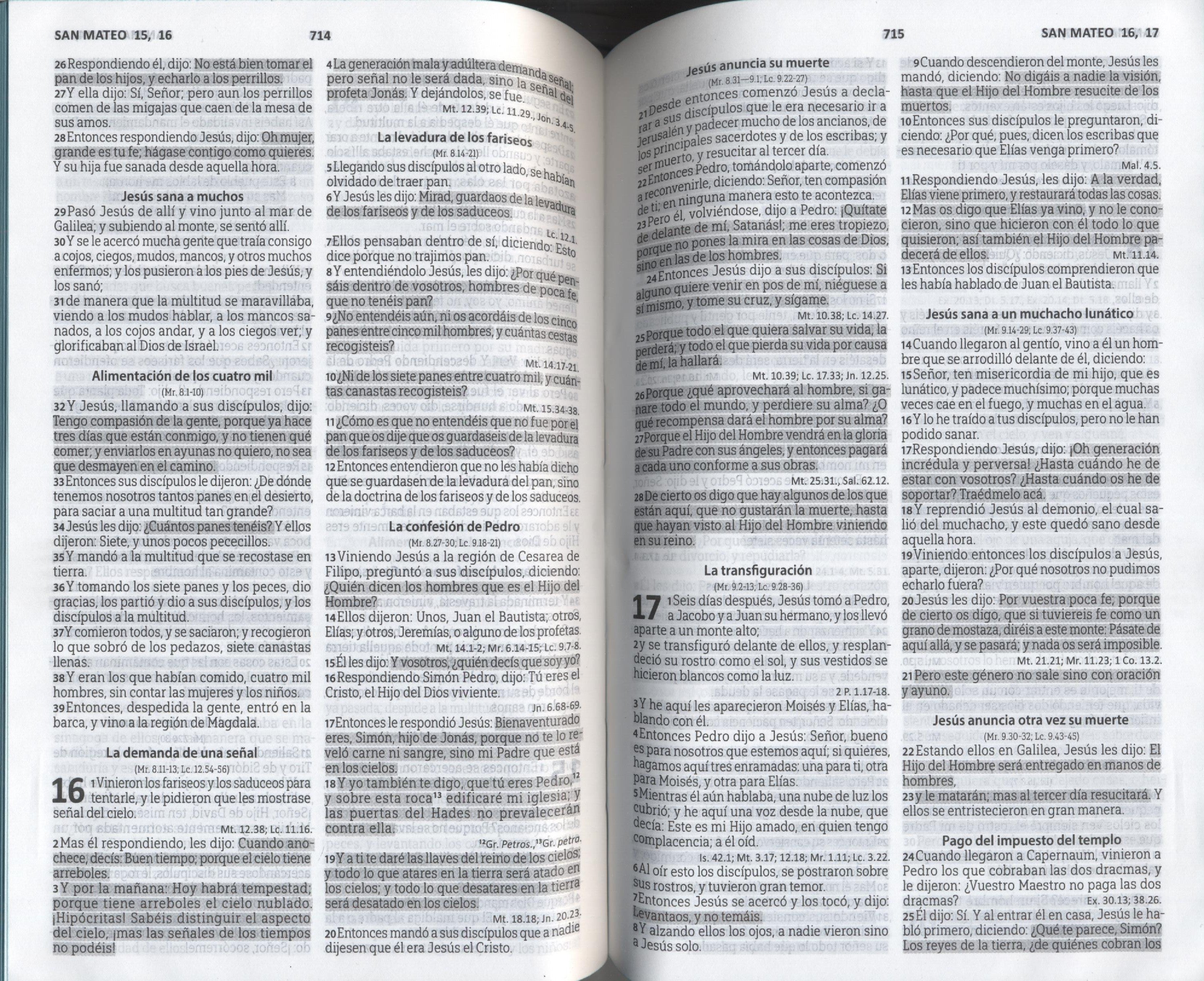 Biblia Reina Valera 1960 letra mediana rosa canto rosado